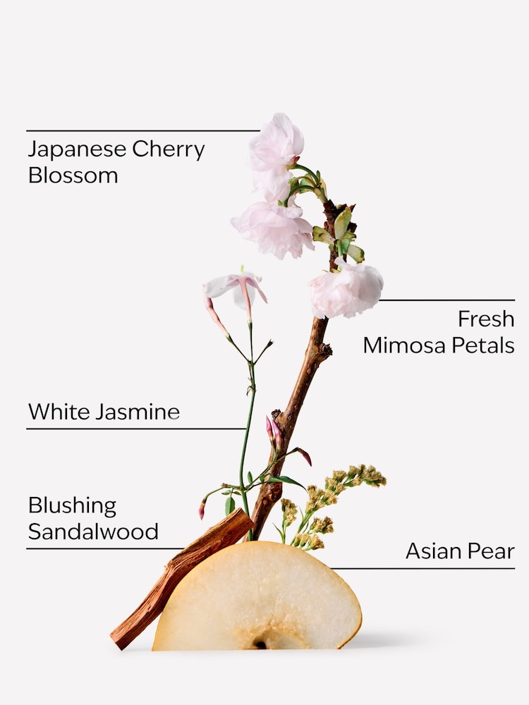 Bath & Body Works Japanese Cherry Blossom Gift Set (Worth £25) - Image 2 of 2