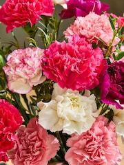 Bright Carnation Letterbox Bouquet - Image 2 of 4
