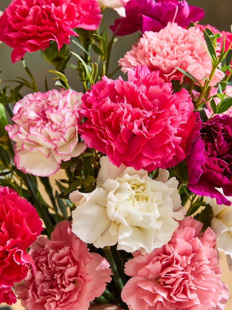 Bright Carnation Letterbox Bouquet - Image 2 of 4