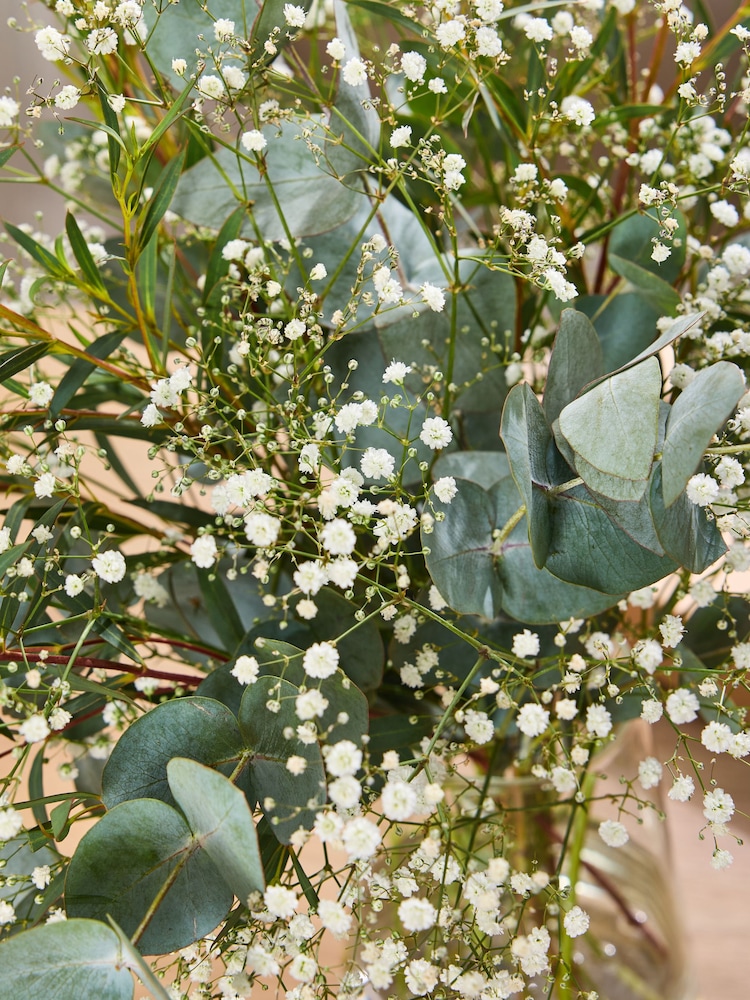 Gypsophila and Eucalyptus Letterbox Arrangement - Image 2 of 4
