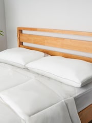 BHS 100% Cotton Pair of Like Down Pillows - Image 3 of 4