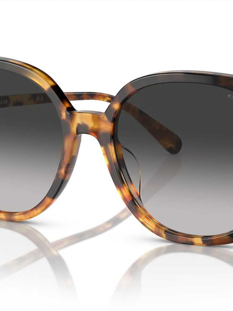 COACH Brown HC8377U Sunglasses - Image 2 of 5