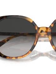 COACH Brown HC8377U Sunglasses - Image 5 of 5