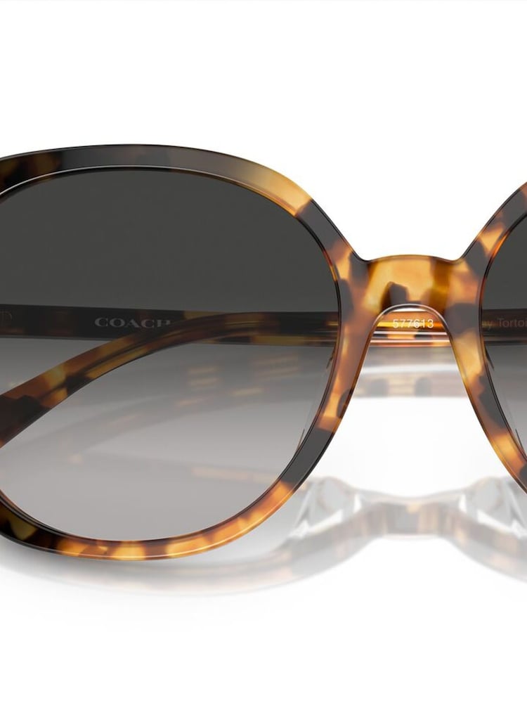 COACH Brown HC8377U Sunglasses - Image 5 of 5