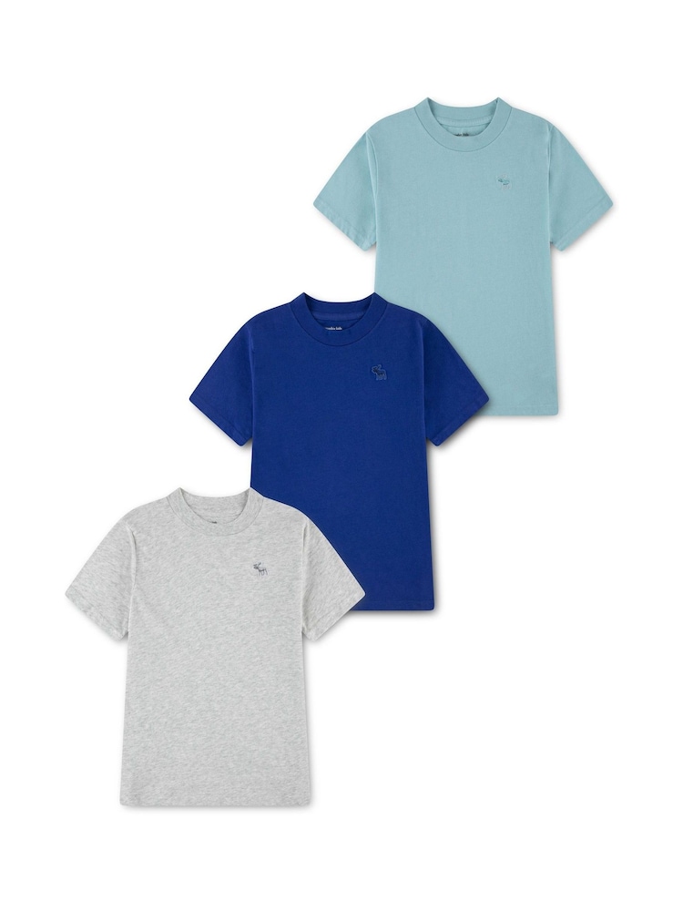 Abercrombie & Fitch Grey/Light Blue/Dark Blue Short Sleeve T-Shirts 3 Pack - Image 1 of 5 Abercrombie & Fitch Grey/Light Blue/Dark Blue Short Sleeve T-Shirts 3 Pack - Image 1 of 5
