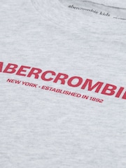 Abercrombie & Fitch Grey Graphic 2-Fer T-Shirt - Image 4 of 4