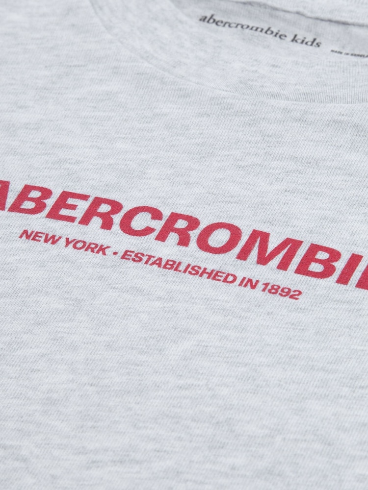 Abercrombie & Fitch Grey Graphic 2-Fer T-Shirt - Image 4 of 4 Abercrombie & Fitch Grey Graphic 2-Fer T-Shirt - Image 4 of 4