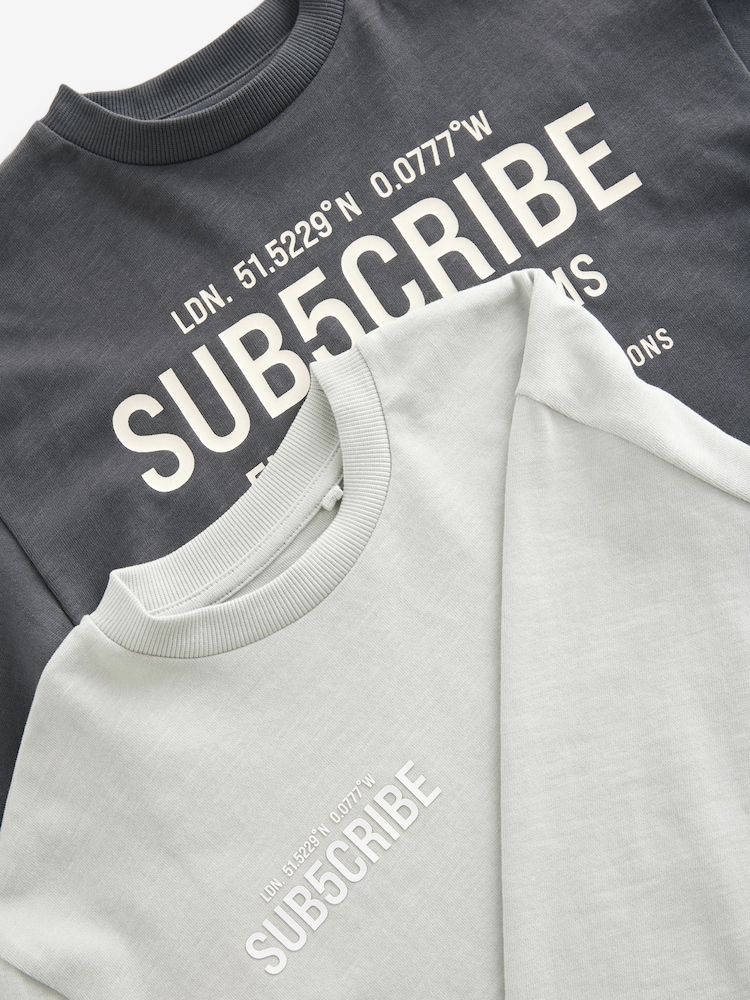 رمادي - حزمة من 2 تيشرت بأكمام طويلة من القطن 100% تشكيلة Subscribe (3–16 سنة) - صورة 8 من 8