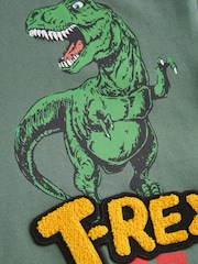 Khaki Green Dino Back Print Relaxed Fit Long Sleeve Graphic T-Shirt (3-16yrs) - Image 3 of 3