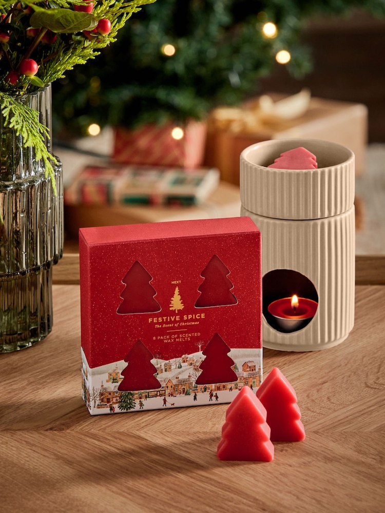 Red Festive Spice Scented Christmas Wax Melts Set of 8 - Image 1 of 4