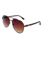 Storm Brown Pheme Sunglasses - Image 2 of 4