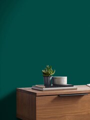 Graham & Brown Eva Green Eggshell Paint - Image 1 of 3