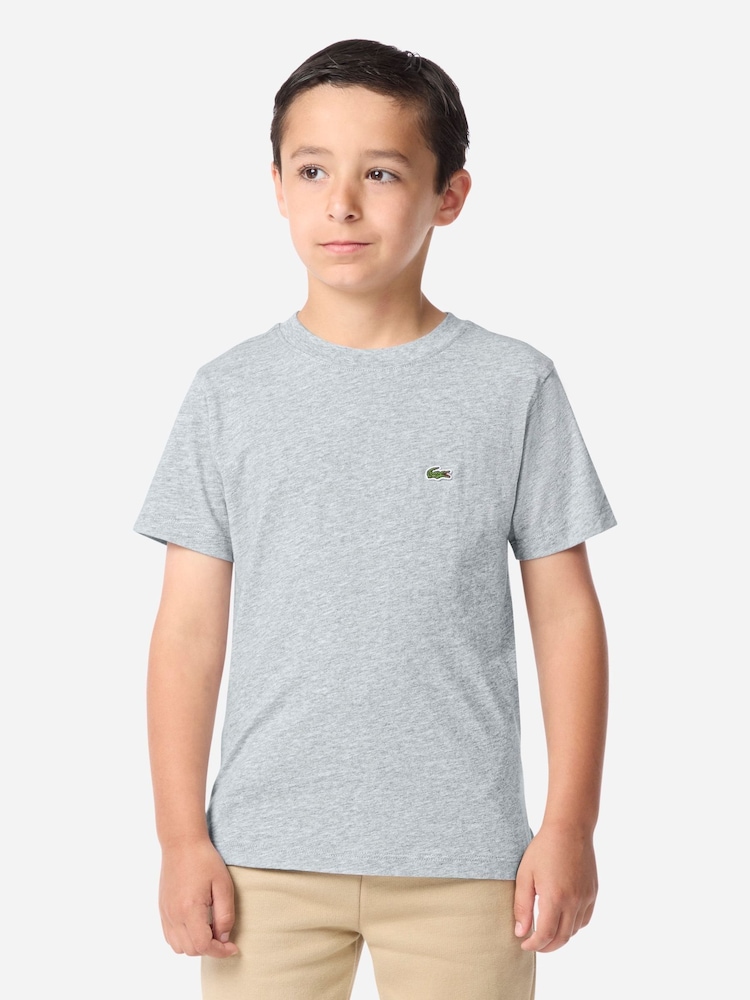 Lacoste Grey Core T-Shirt - Image 1 of 6