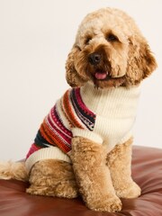Multi Bright Stripe Dog Jumper - Image 5 of 6