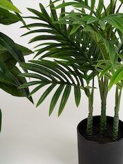 Scottish Everlastings Ltd Green Artificial Palm & Money Tree Plants 2 Pack - Image 2 of 4