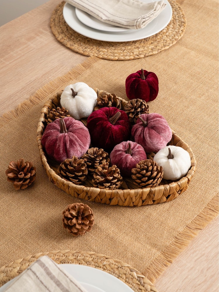 Scottish Everlastings Ltd Pink Decorative Velvet Pumpkins & Pinecones with Tray - Image 1 of 3 Scottish Everlastings Ltd Pink Decorative Velvet Pumpkins & Pinecones with Tray - Image 1 of 3