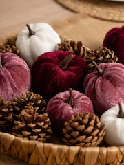 Scottish Everlastings Ltd Pink Decorative Velvet Pumpkins & Pinecones with Tray - Image 3 of 3