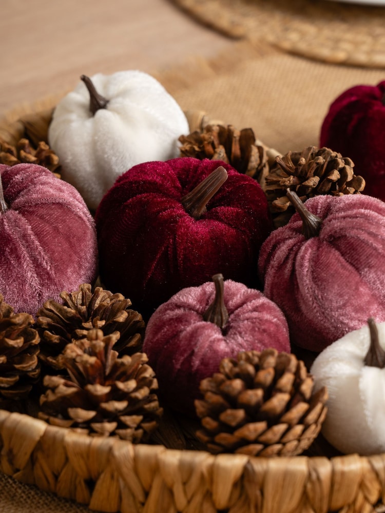 Scottish Everlastings Ltd Pink Decorative Velvet Pumpkins & Pinecones with Tray - Image 3 of 3 Scottish Everlastings Ltd Pink Decorative Velvet Pumpkins & Pinecones with Tray - Image 3 of 3