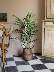 Scottish Everlastings Ltd Green Bamboo Palm Artificial Tree - Image 1 of 3