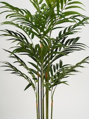 Scottish Everlastings Ltd Green Bamboo Palm Artificial Tree - Image 2 of 3