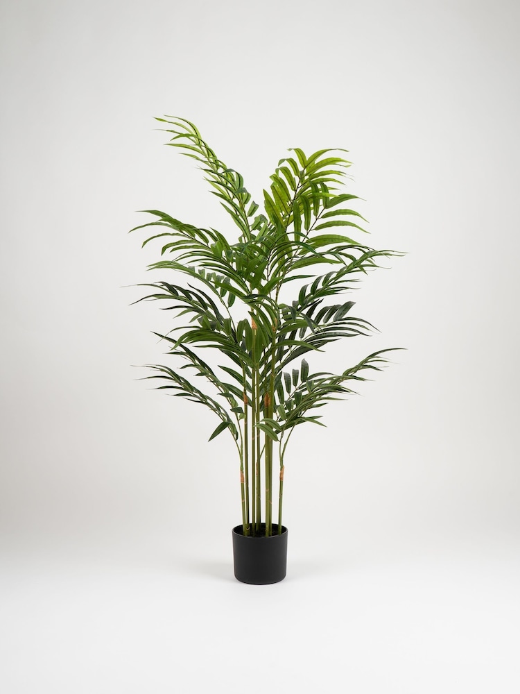 Scottish Everlastings Ltd Green Bamboo Palm Artificial Tree - Image 3 of 3 Scottish Everlastings Ltd Green Bamboo Palm Artificial Tree - Image 3 of 3