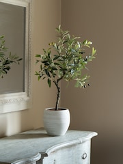 Scottish Everlastings Ltd Green Olive Artificial Tree - Image 1 of 3