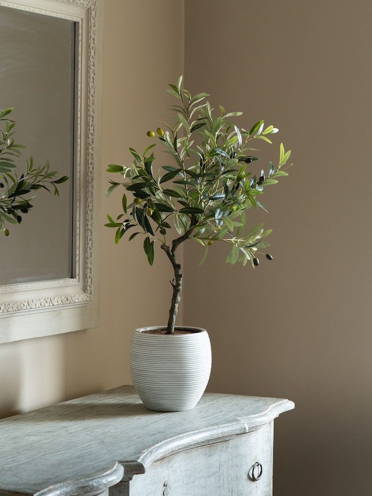 Scottish Everlastings Ltd Green Olive Artificial Tree - Image 1 of 3 Scottish Everlastings Ltd Green Olive Artificial Tree - Image 1 of 3