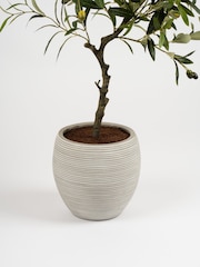 Scottish Everlastings Ltd Green Olive Artificial Tree - Image 2 of 3