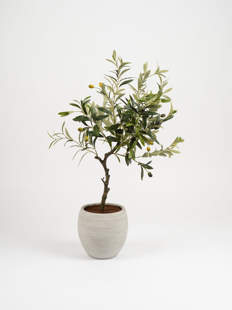 Scottish Everlastings Ltd Green Olive Artificial Tree - Image 3 of 3 Scottish Everlastings Ltd Green Olive Artificial Tree - Image 3 of 3