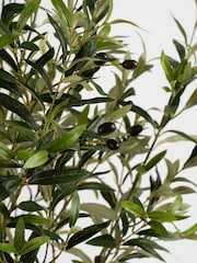 Scottish Everlastings Ltd Green Olive Artificial Tree - Image 2 of 3
