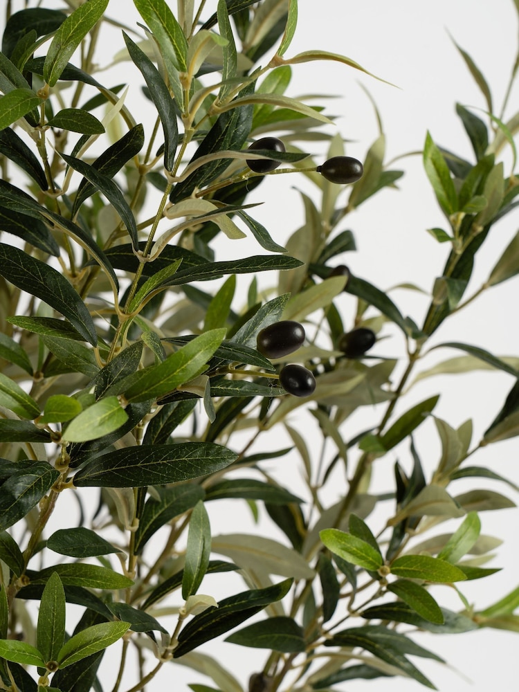 Scottish Everlastings Ltd Green Olive Artificial Tree - Image 2 of 3 Scottish Everlastings Ltd Green Olive Artificial Tree - Image 2 of 3