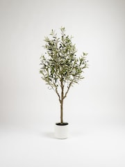 Scottish Everlastings Ltd Green Olive Artificial Tree - Image 3 of 3