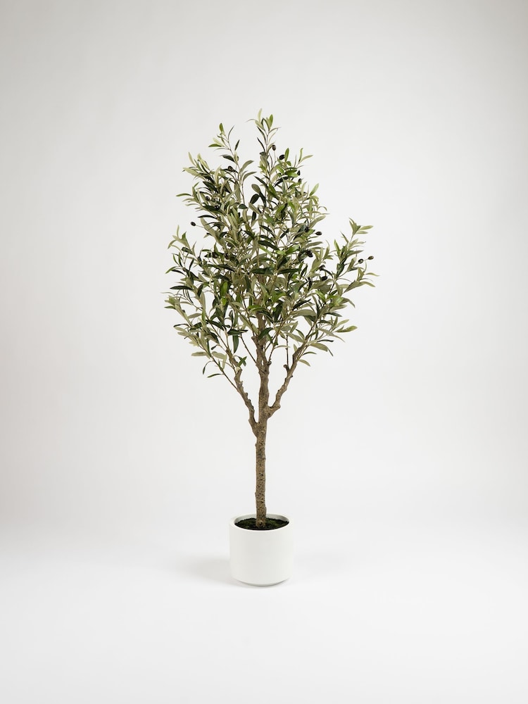 Scottish Everlastings Ltd Green Olive Artificial Tree - Image 3 of 3 Scottish Everlastings Ltd Green Olive Artificial Tree - Image 3 of 3