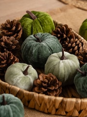 Scottish Everlastings Ltd Green Decorative Velvet Pumpkins & Pinecones with Tray - Image 3 of 3