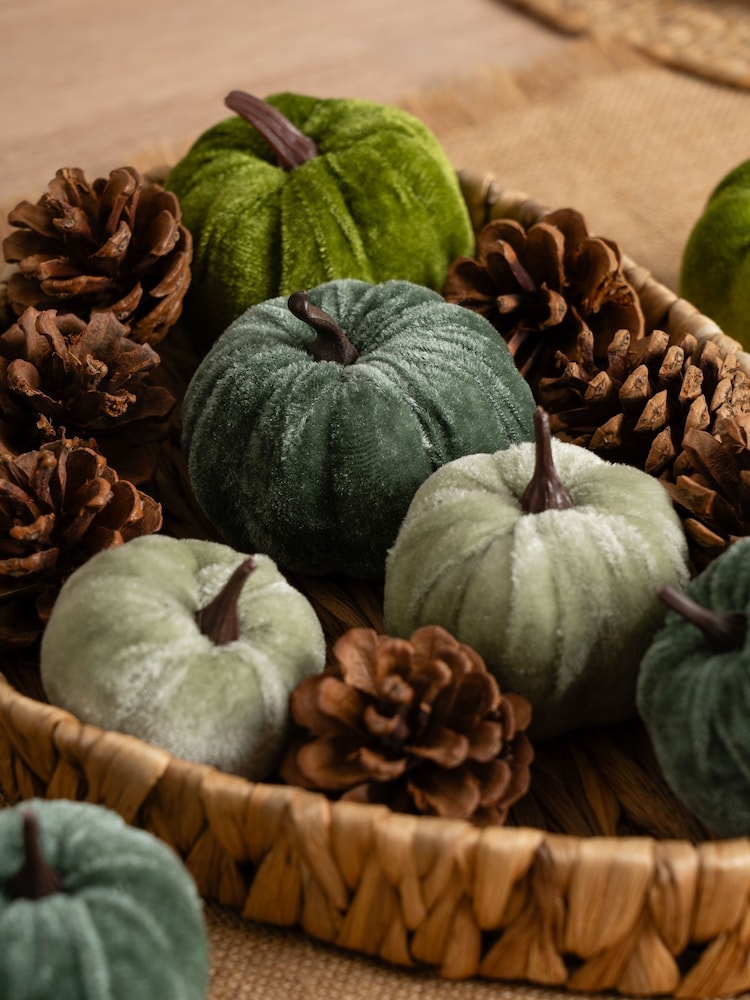 Scottish Everlastings Ltd Green Decorative Velvet Pumpkins & Pinecones with Tray - Image 3 of 3