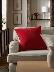 Red 59 x 59cm Soft Velour Cushion - Image 1 of 5
