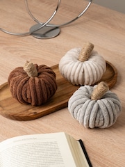 Scottish Everlastings Ltd Natural Cord Pumpkins Decorative Set - Image 1 of 3