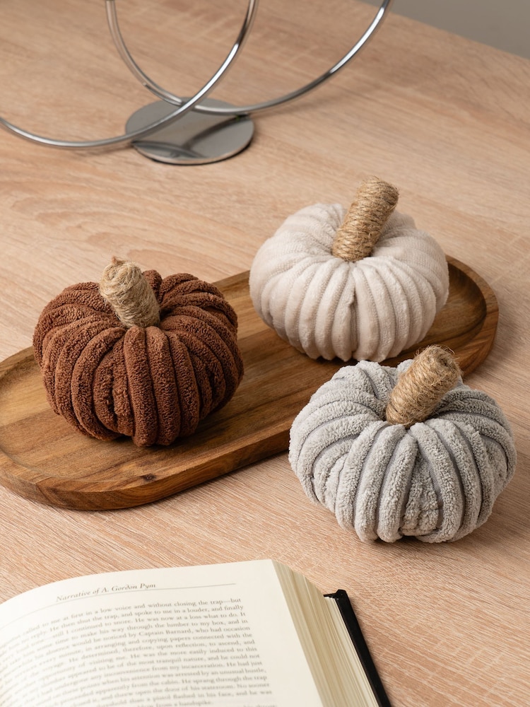Scottish Everlastings Ltd Natural Cord Pumpkins Decorative Set - Image 1 of 3 Scottish Everlastings Ltd Natural Cord Pumpkins Decorative Set - Image 1 of 3