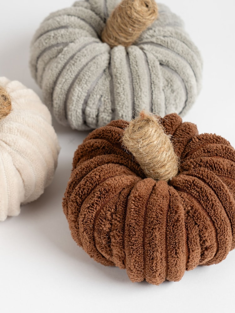 Scottish Everlastings Ltd Natural Cord Pumpkins Decorative Set - Image 3 of 3 Scottish Everlastings Ltd Natural Cord Pumpkins Decorative Set - Image 3 of 3
