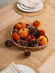 Scottish Everlastings Ltd Orange Decorative Velvet Pumpkins & Pinecones with Tray - Image 1 of 3