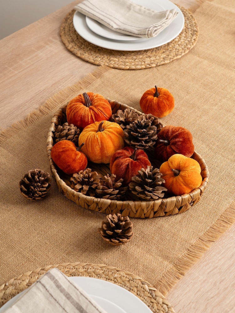 Scottish Everlastings Ltd Orange Decorative Velvet Pumpkins & Pinecones with Tray - Image 1 of 3 Scottish Everlastings Ltd Orange Decorative Velvet Pumpkins & Pinecones with Tray - Image 1 of 3