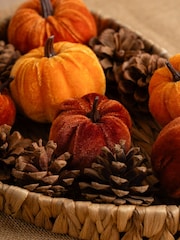 Scottish Everlastings Ltd Orange Decorative Velvet Pumpkins & Pinecones with Tray - Image 3 of 3