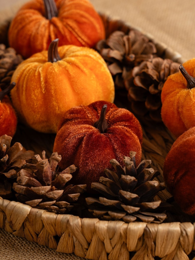Scottish Everlastings Ltd Orange Decorative Velvet Pumpkins & Pinecones with Tray - Image 3 of 3 Scottish Everlastings Ltd Orange Decorative Velvet Pumpkins & Pinecones with Tray - Image 3 of 3