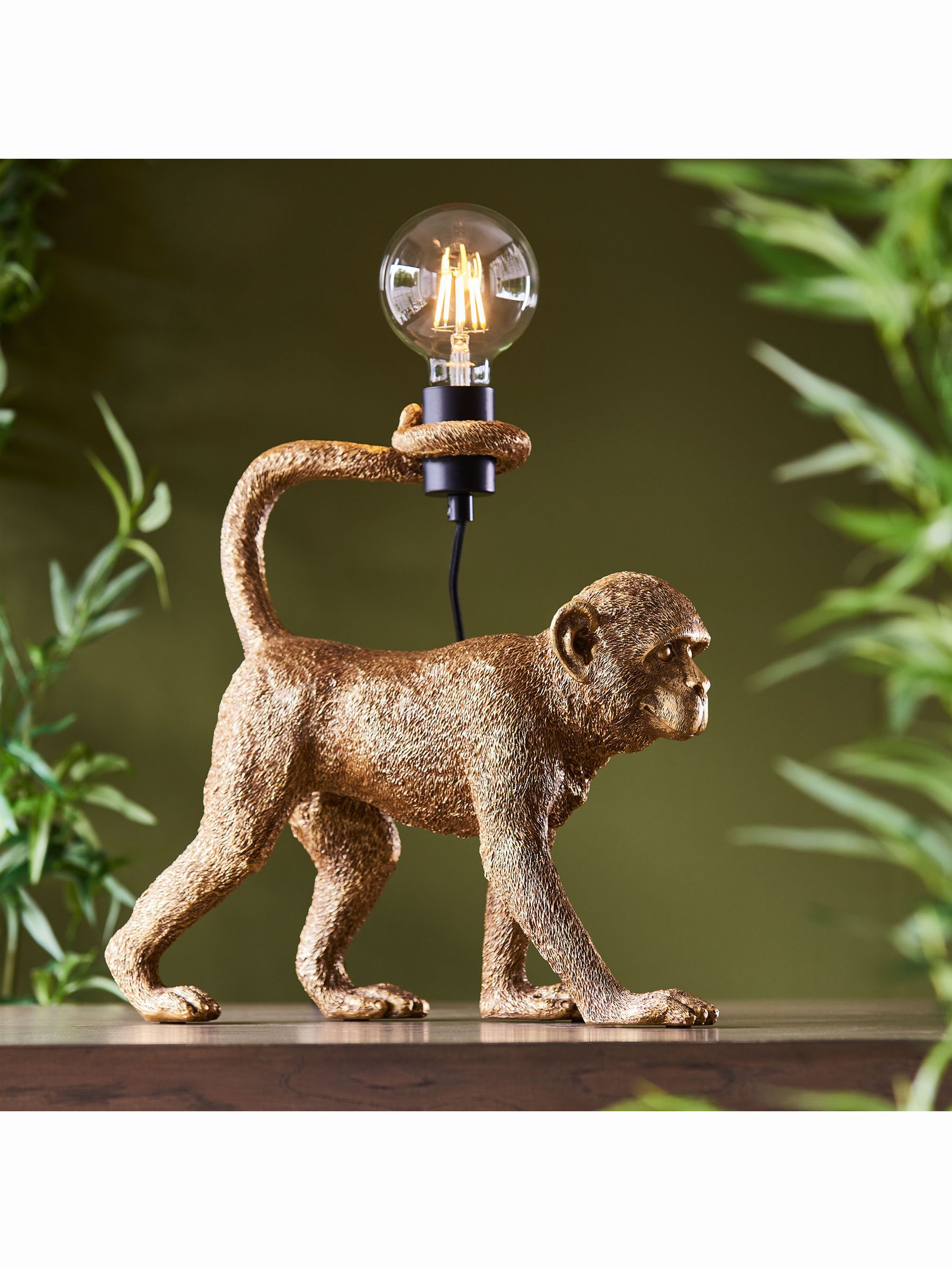 Monkey lamp next top
