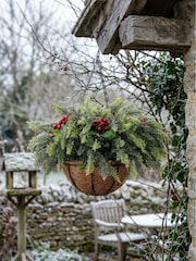 Scottish Everlastings Ltd Green Christmas Foliage Hanging Basket - Image 1 of 3