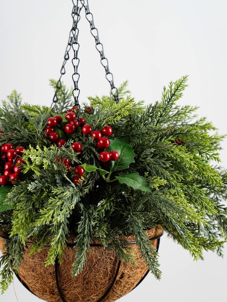 Scottish Everlastings Ltd Green Christmas Foliage Hanging Basket - Image 3 of 3 Scottish Everlastings Ltd Green Christmas Foliage Hanging Basket - Image 3 of 3