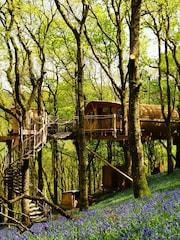 AS Two Night Tree House Escape for Two Gift Experience - Image 1 of 2
