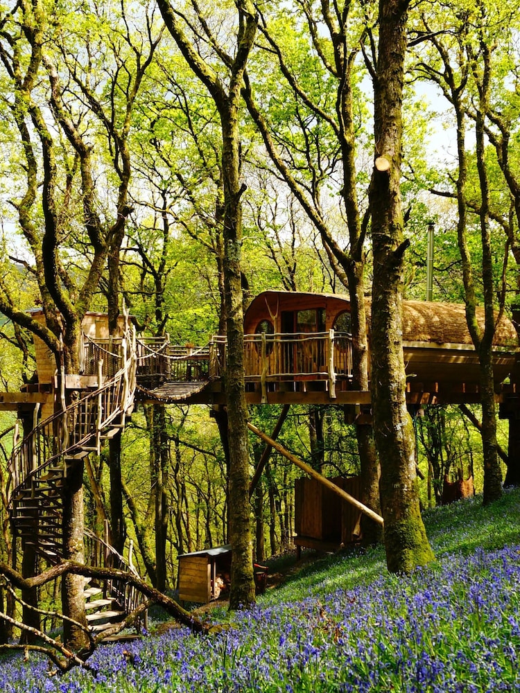 AS Two Night Tree House Escape for Two Gift Experience - Image 1 of 2