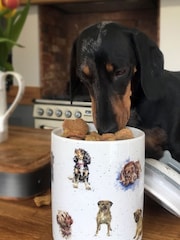White Royal Worcester Wrendale Dog Treat Jar - Image 1 of 4