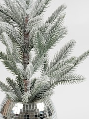 Scottish Everlastings Ltd Silver Mirrorball Potted Christmas Tree - Image 3 of 3